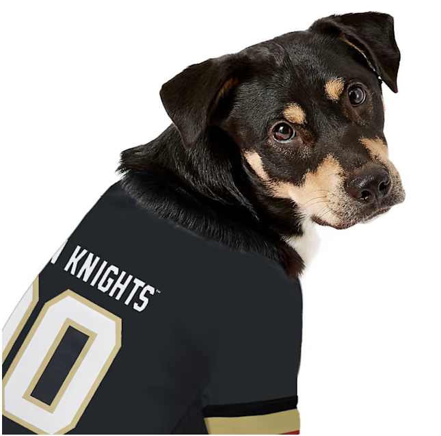 Golden knights dog deals jersey