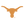 Texas Longhorns