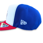 Los Angeles Dodgers New Era Multi Colored USA 250th 9FIFTY A-Frame Snapback