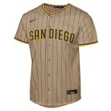 Nike Men's MLB San Diego Padres Fernando Tatis Jr. Replica Jersey Alternate
