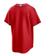 Nike Men's MLB Atlanta Braves Replica Jersey Alternate
