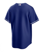 Nike Men's MLB Los Angeles Dodgers Replica Jersey Alternate - Blue