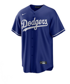 Nike Men's MLB Los Angeles Dodgers Replica Jersey Alternate - Blue